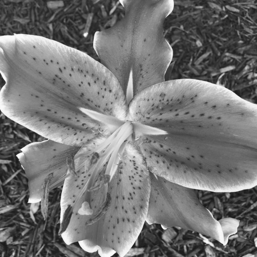 Meet your Posher, Hilary